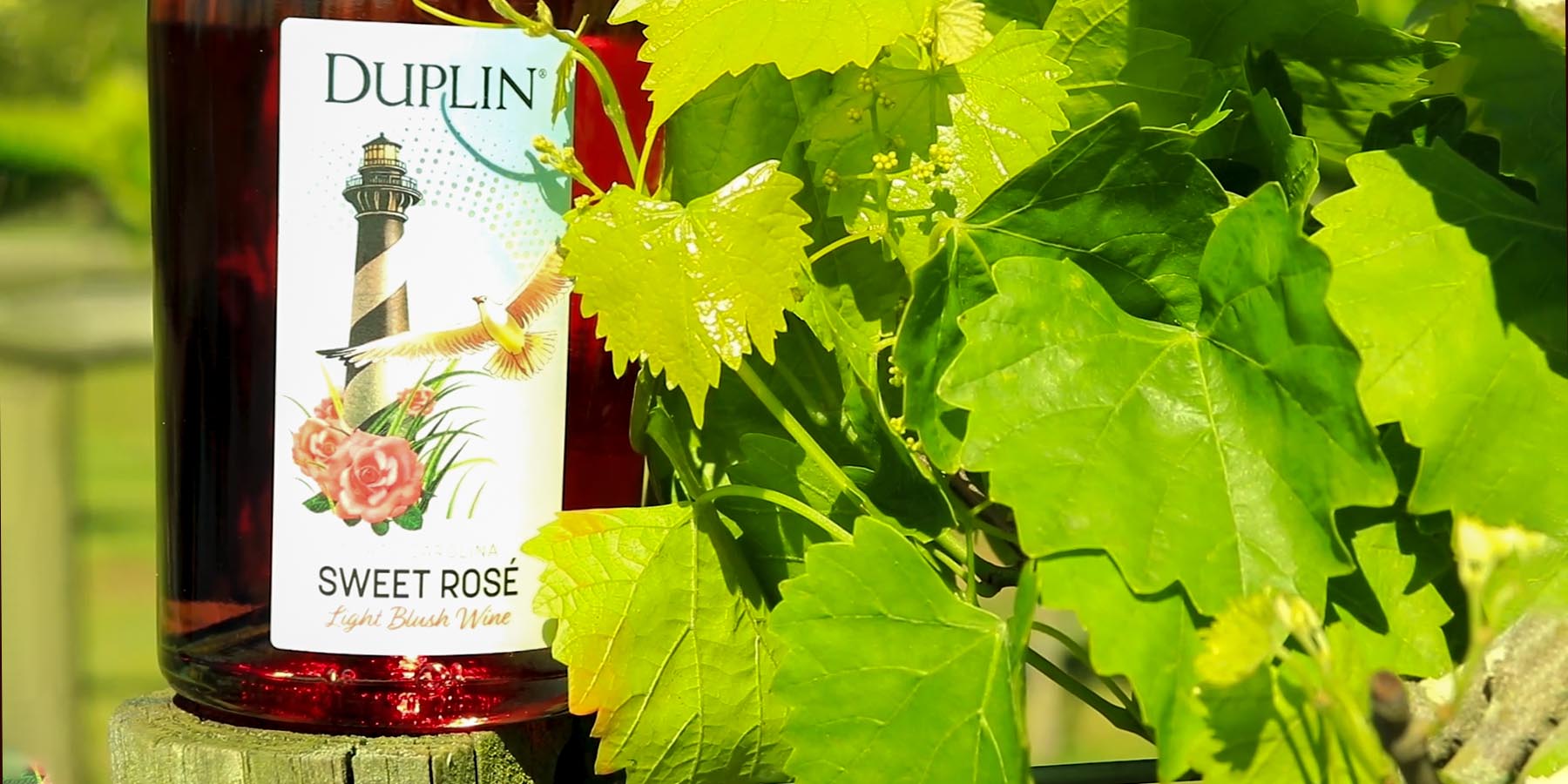 Sweet Rosé all day: The best pink wine for summer