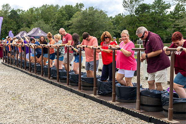 Grape Stomp VIP Tent Package Grape Stomp VIP Tent Package
