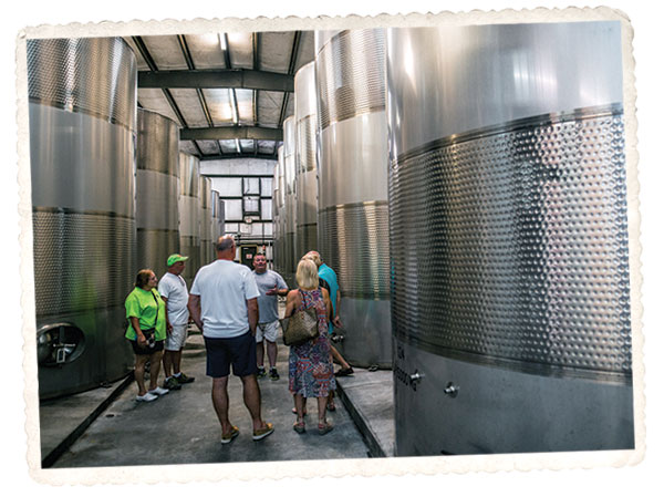 Ronnie Kelly gives an in-depth wine and production tour in Rose Hill, NC. Ronnie Kelly gives an in-depth wine and production tour in Rose Hill, NC.